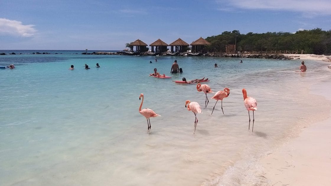 Flamingo Beach Foto de Google Maps de MARCOS PEREIRA Flamingo Beach