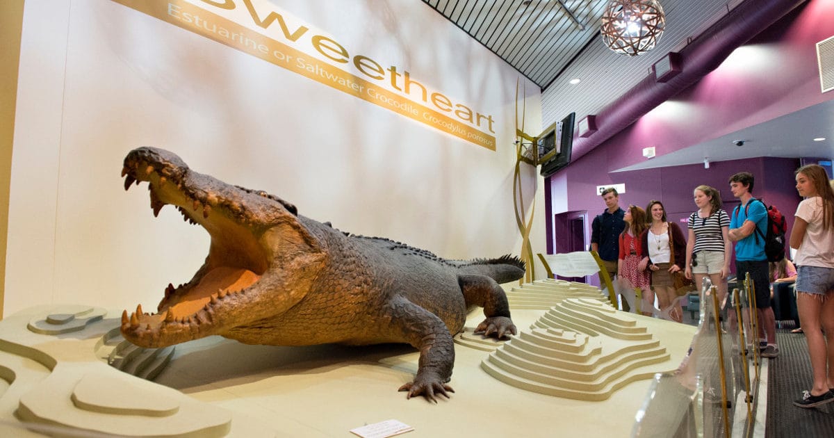 Museum and Art Gallery of the Northern Territory 