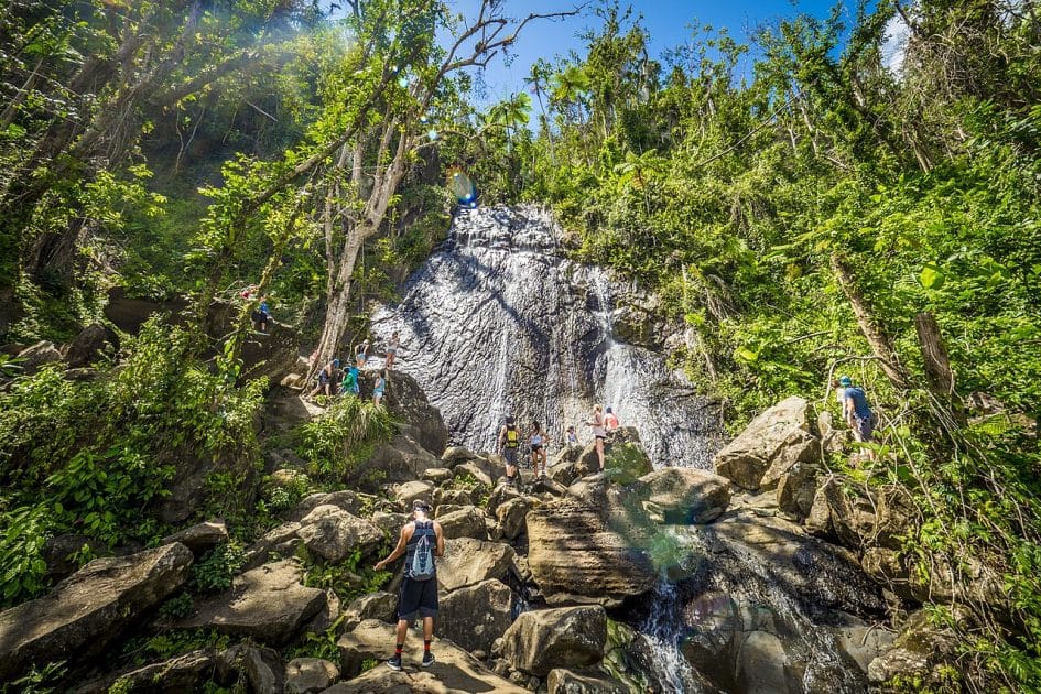 Bosque tropical El Yunque