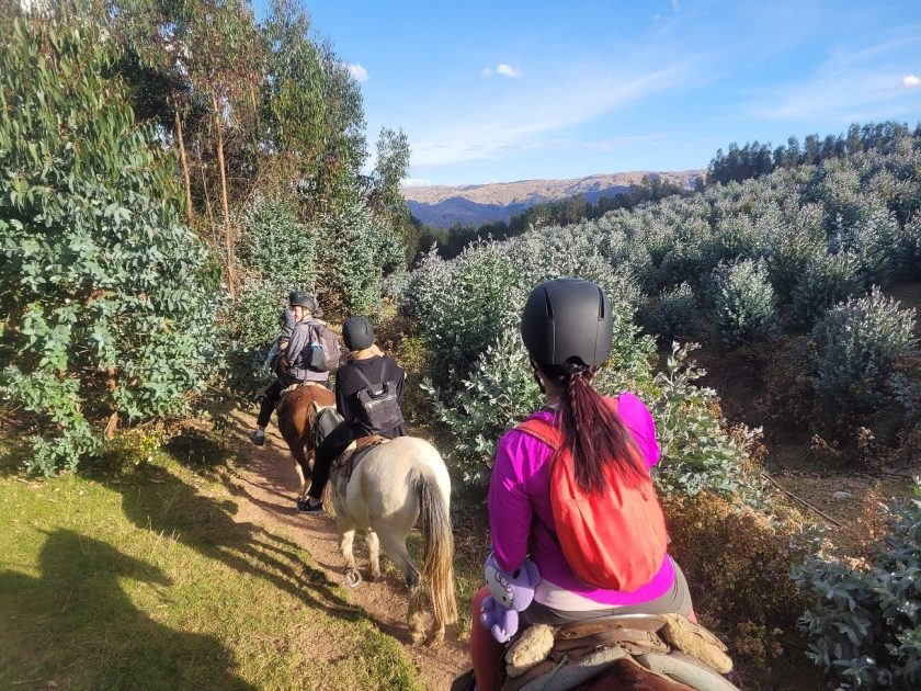 Excursión a caballo 